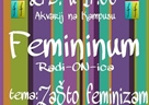 Revolucionarni feminizam  u teorijskom obzoru - predavanje 