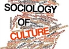 Emergent Culture – ESA RN7 mid-term conference