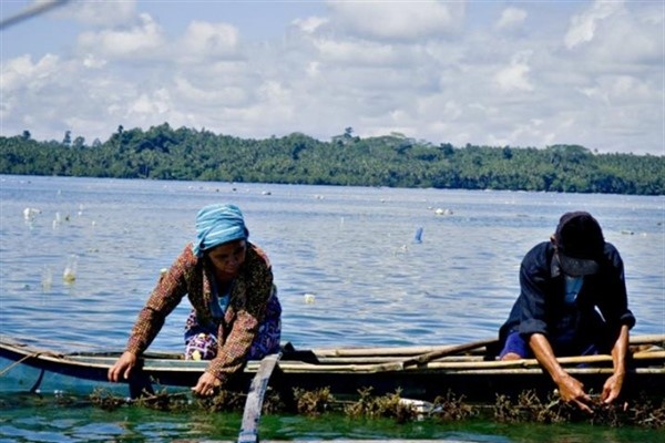 Community Cohesion: Social and Economic Ties in the Personal Networks of Fisherfolk